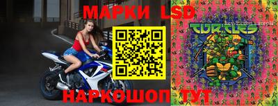 спайс Будённовск