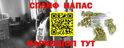 спайс Будённовск