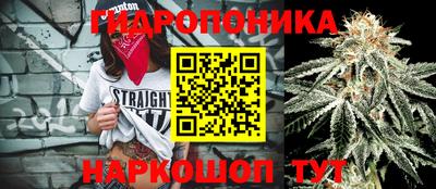 спайс Будённовск