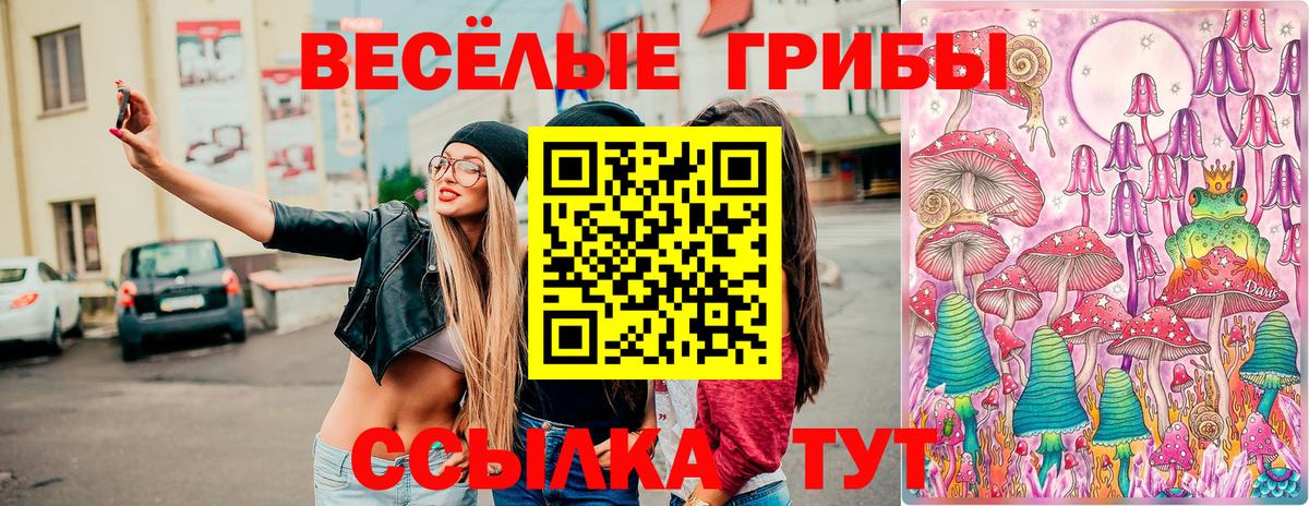 Галлюциногенные грибы Magic Shrooms Сызрань