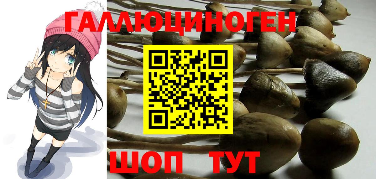 Псилоцибиновые грибы Psilocybe  Вход с VPN  Сызрань 